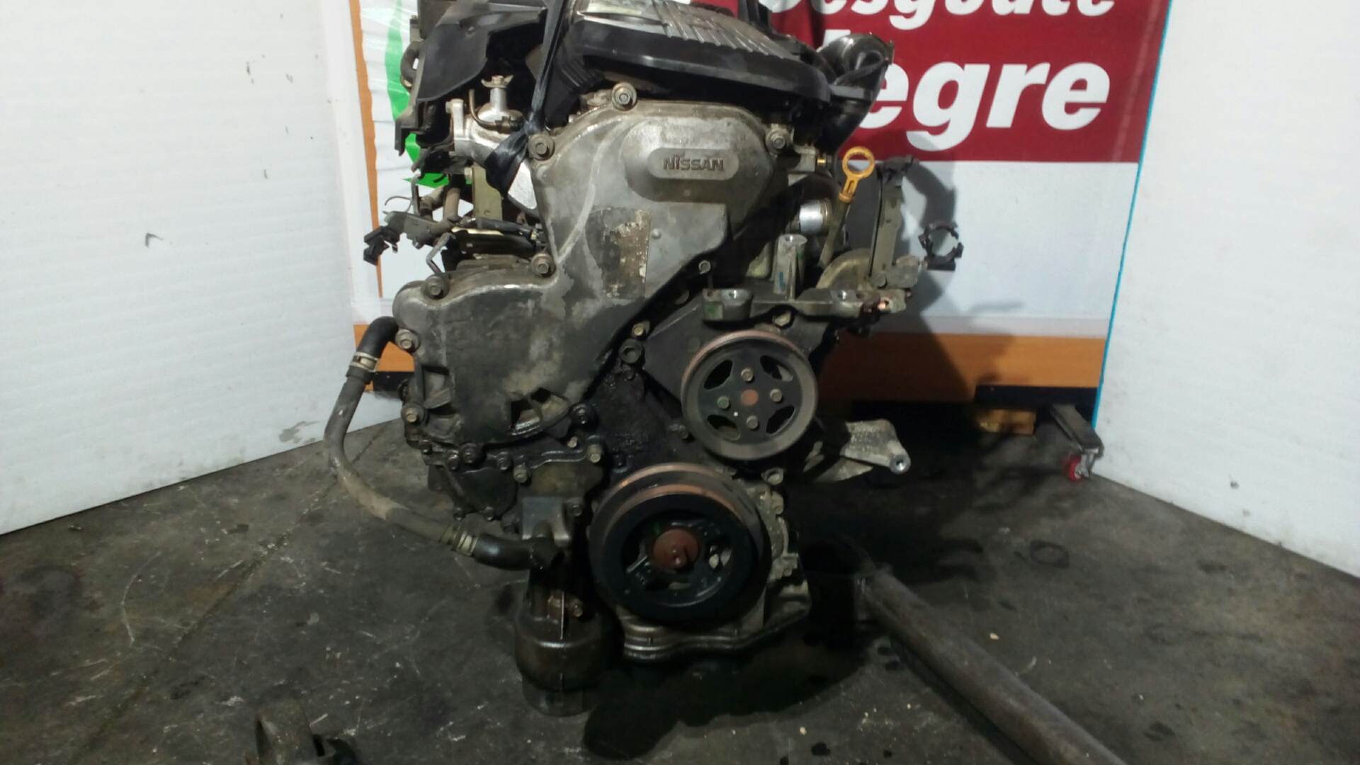 NISSAN Almera N16 (2000-2006) Motor YD22 24798192