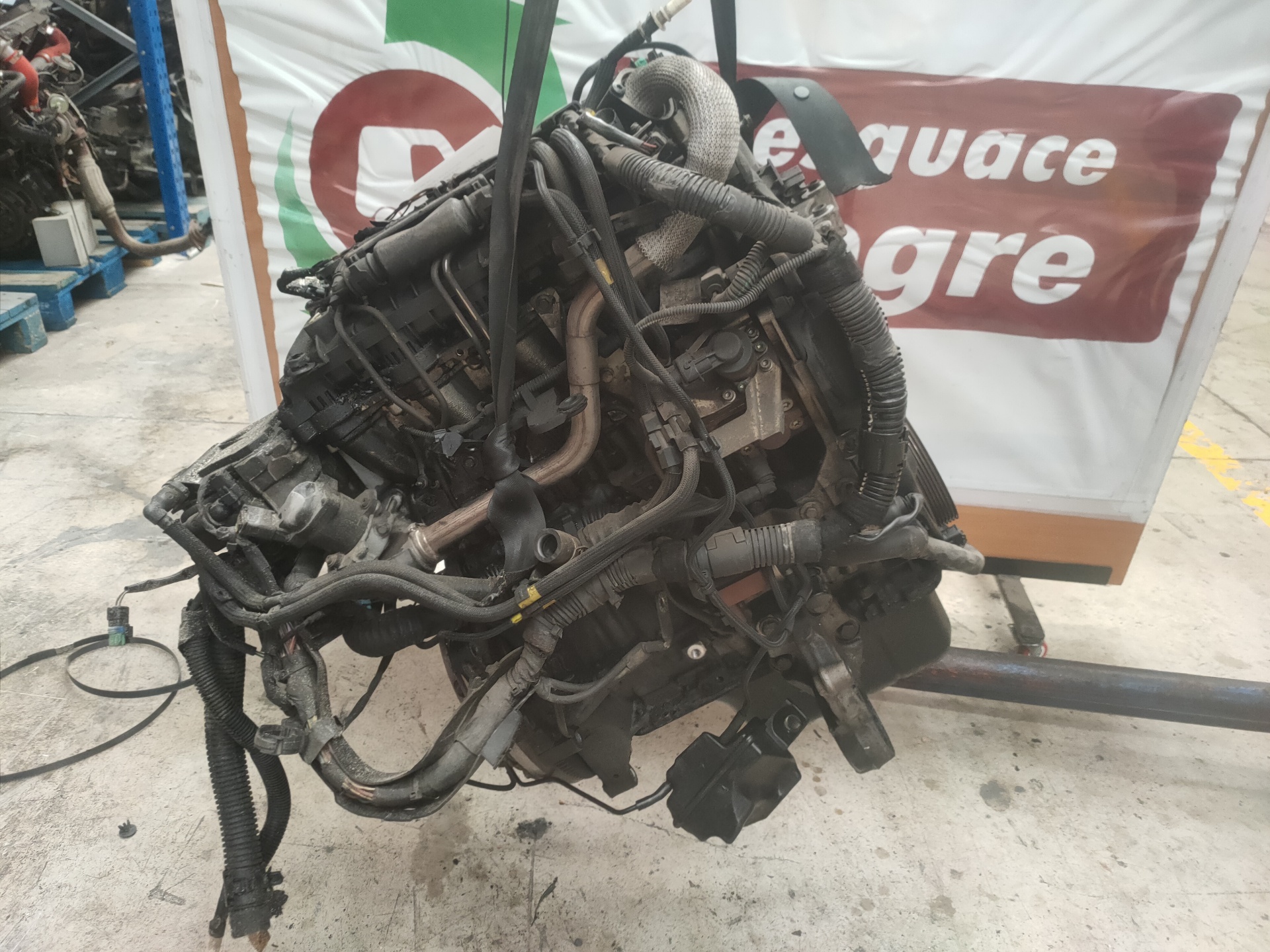 PEUGEOT 307 1 generation (2001-2008) Motor 9HY 22792531