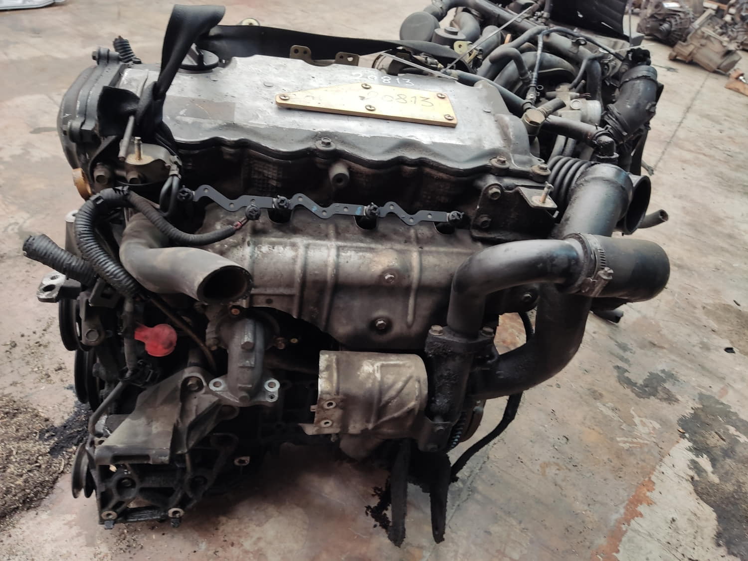 NISSAN Almera N16 (2000-2006) Engine YD22 24805131