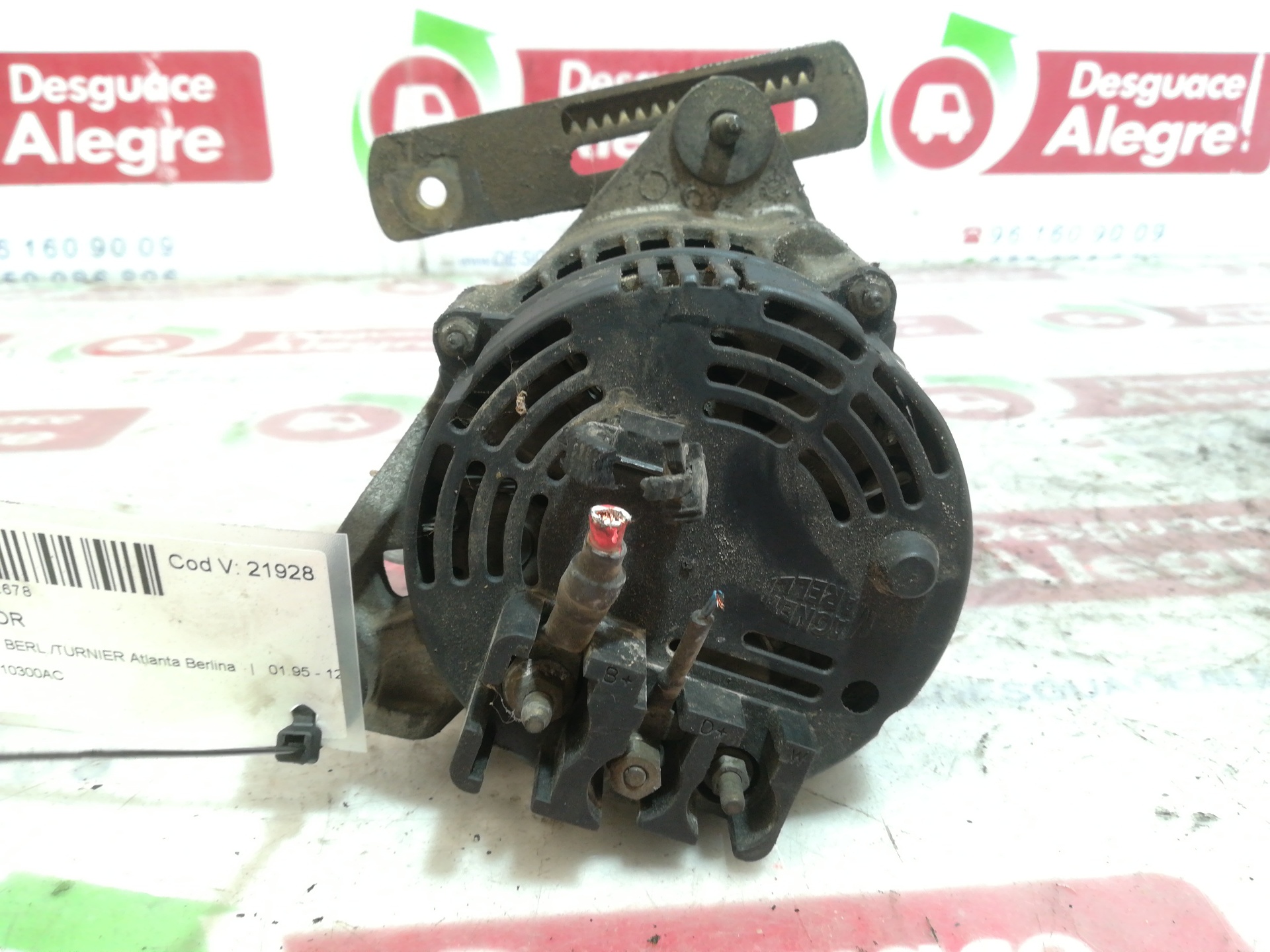 FORD Transit Alternator 95FF10300AC 24812247