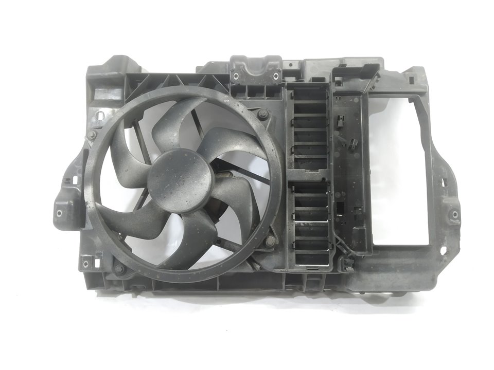 PEUGEOT 407 1 generation (2004-2010) Diffuser Fan 9646474780 25924198