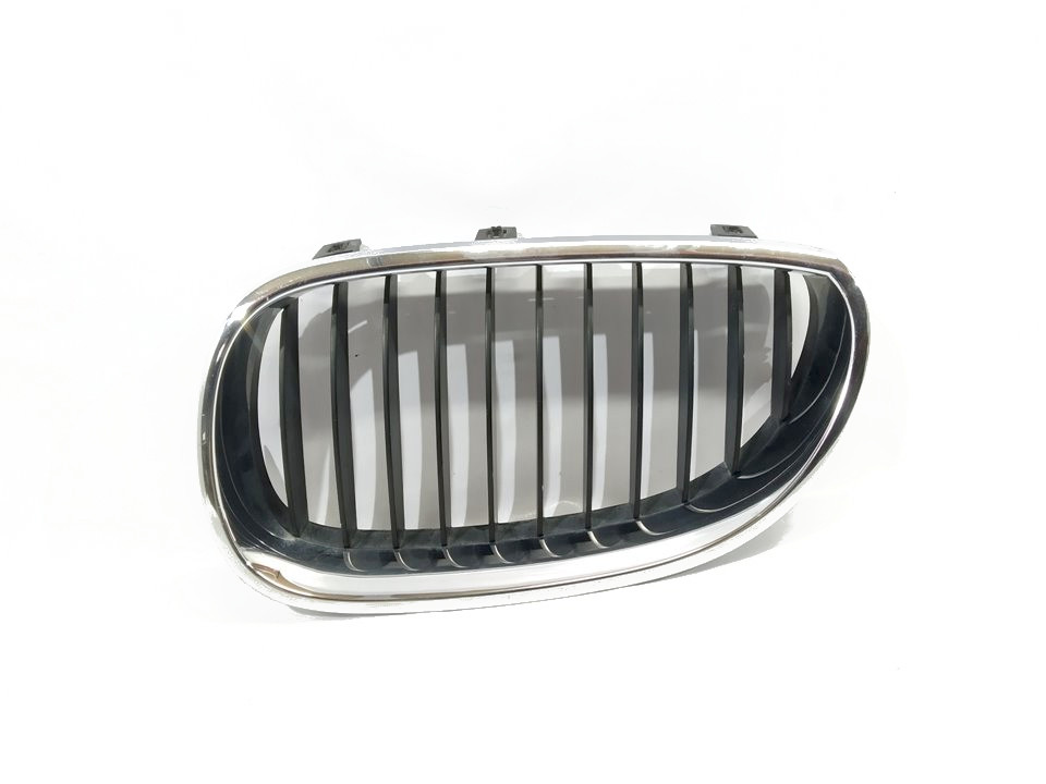 BMW 5 Series E60/E61 (2003-2010) Grila radiatorului 10627110 20027121