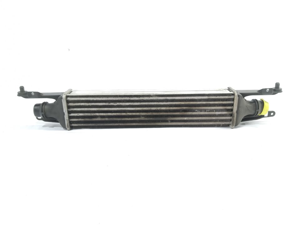 FORD USA Intercooler Radiator 440926702 25923405