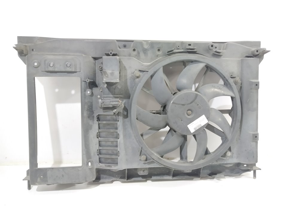 CITROËN C4 Picasso 1 generation (2006-2013) Diffuser Fan 9HZ 20004077