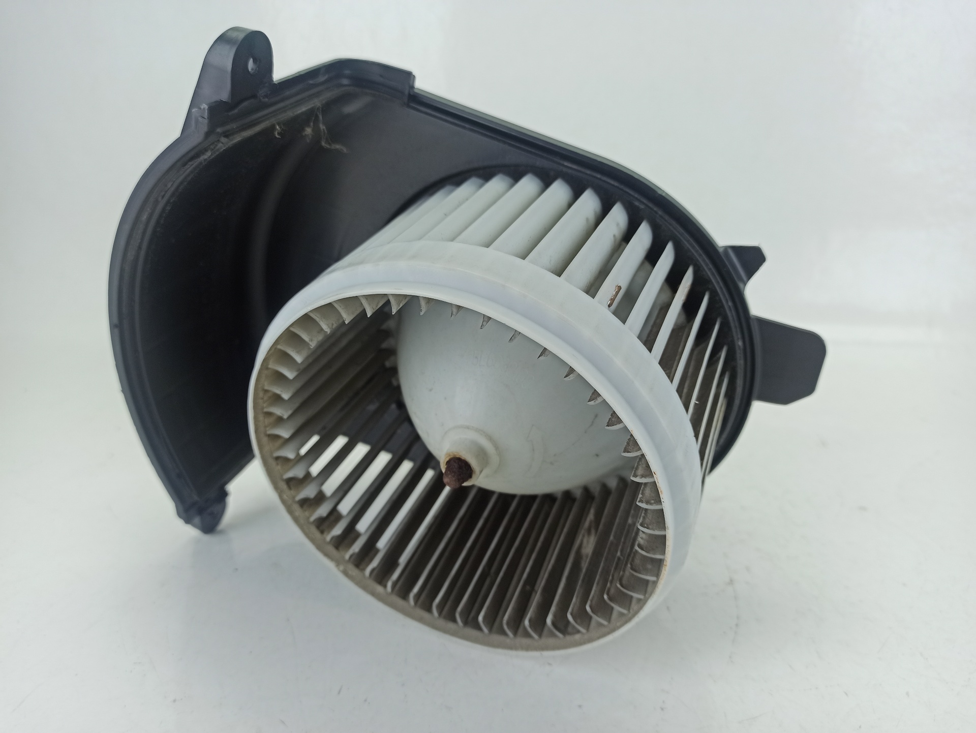 RENAULT Kangoo 2 generation (2007-2021) Sildītāja ventilators 173830100 24935290