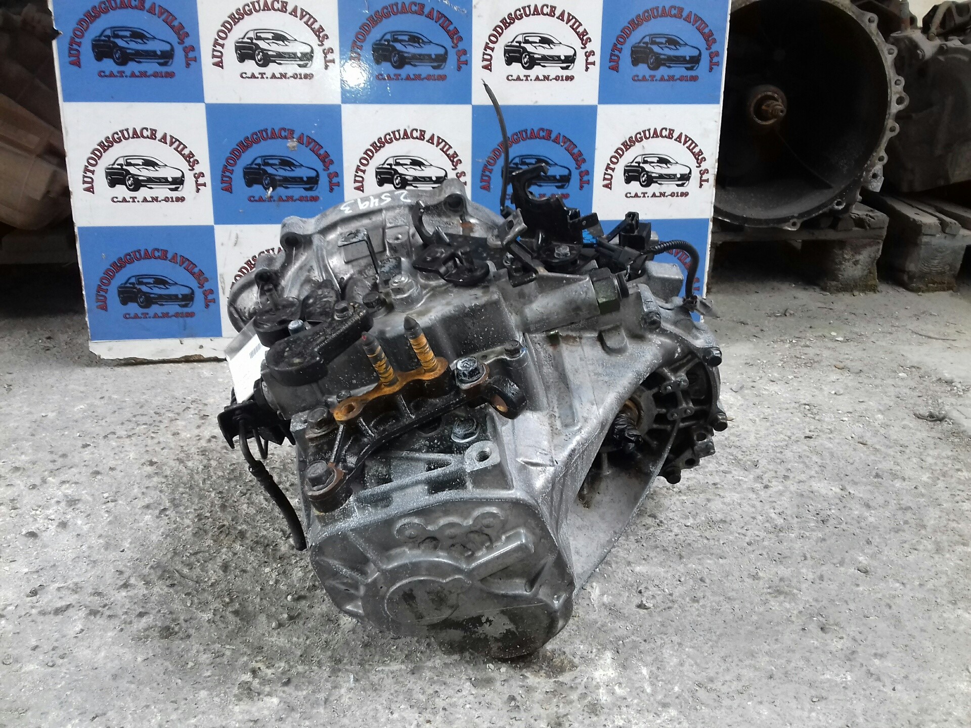 HYUNDAI Santa Fe SM (2000-2013) Gearbox P51767 22797721