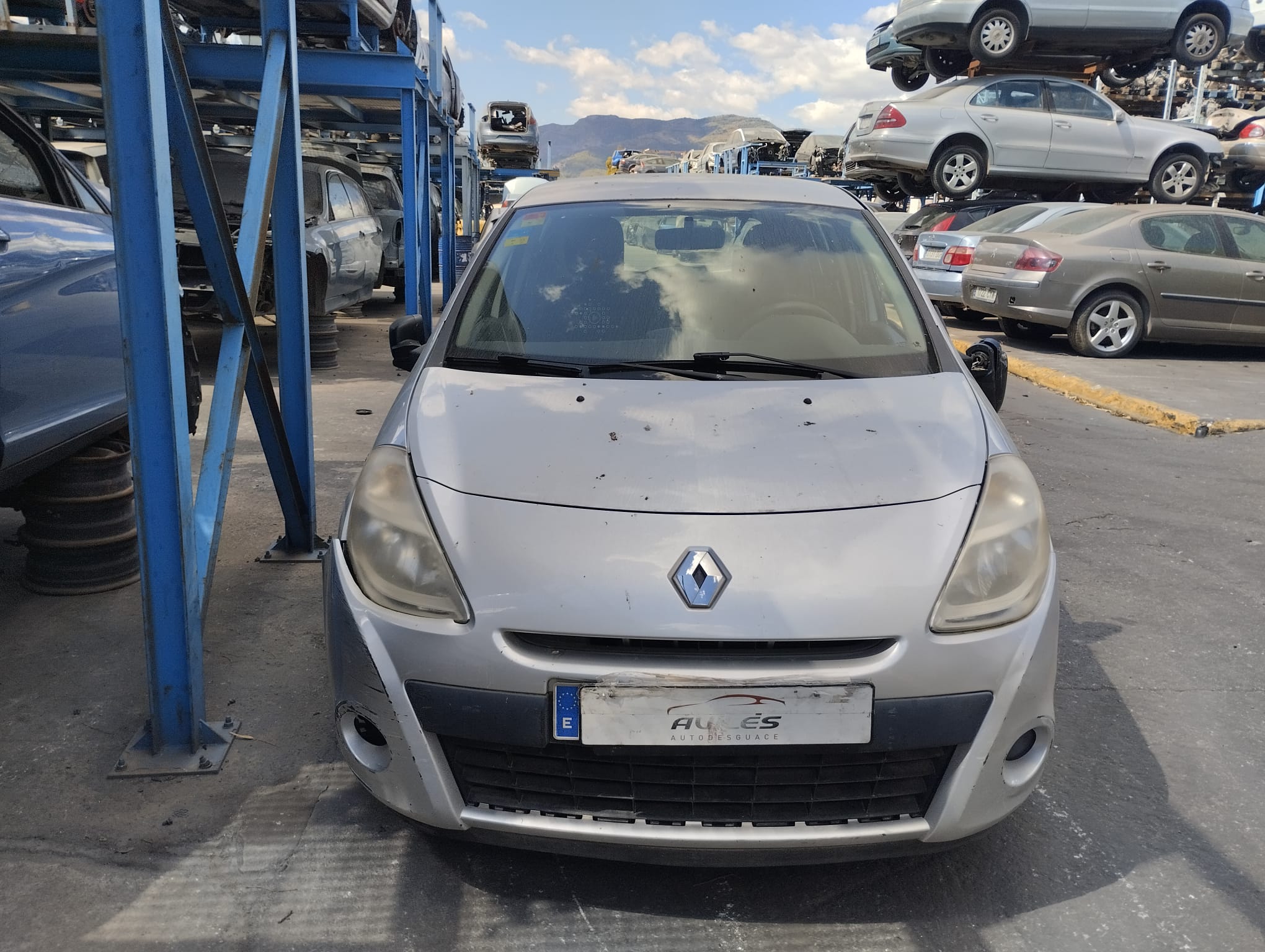 RENAULT Clio 3 generation (2005-2012) Зеркало передней правой двери 12443070 25609010