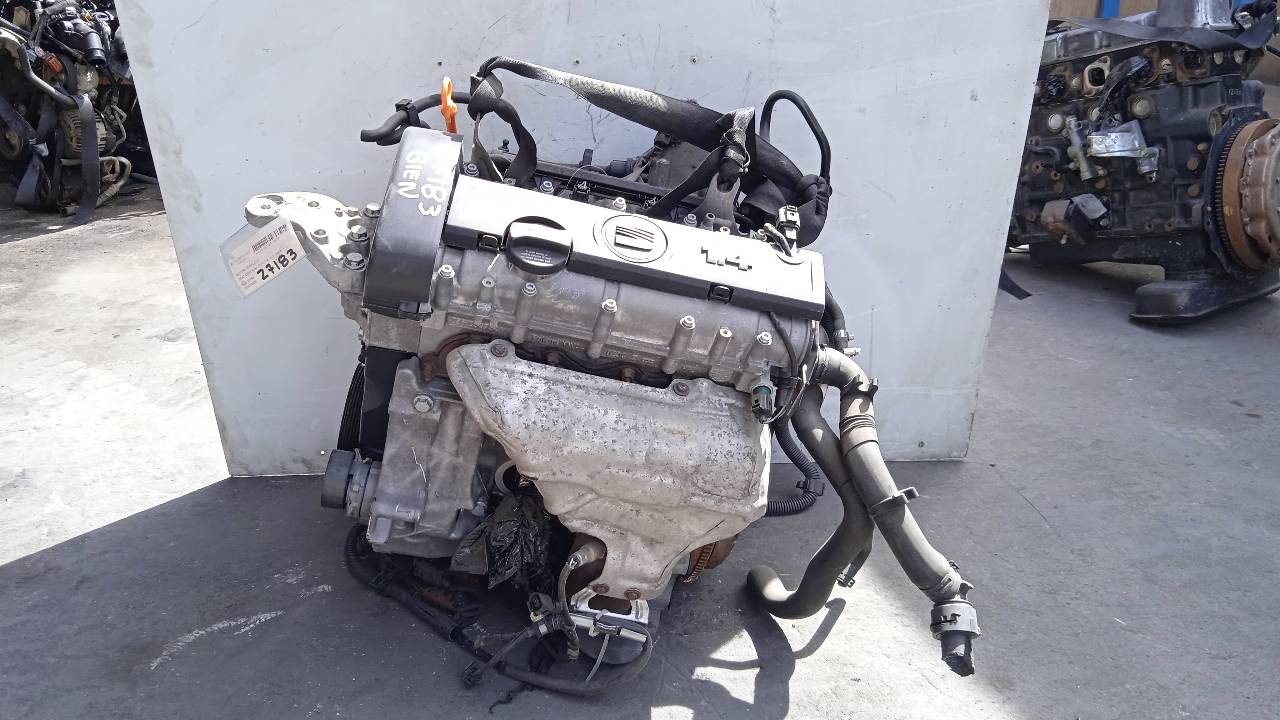 SEAT Cordoba 2 generation (1999-2009) Motor BXW 21421133