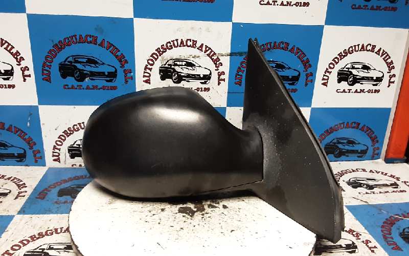 KIA Carnival UP/GQ (1999-2006) Right Side Wing Mirror 25220311