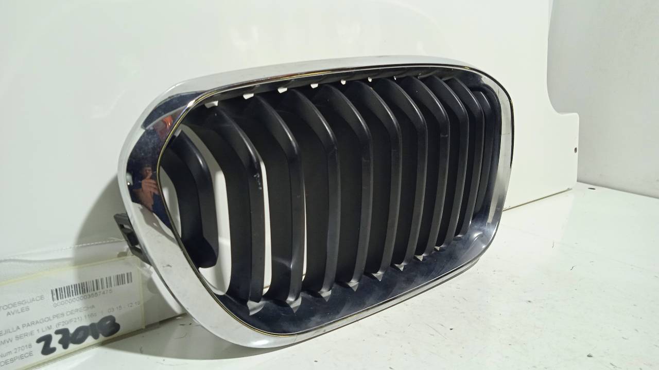 BMW 1 Series F20/F21 (2011-2020) Front Right Grill 7371748 21244229