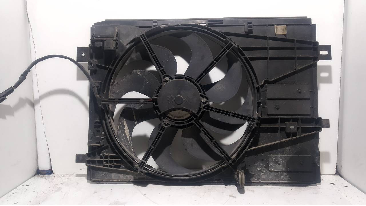 CITROËN C4 Picasso 2 generation (2013-2018) Difūzoriaus ventiliatorius 9806313280 24544658