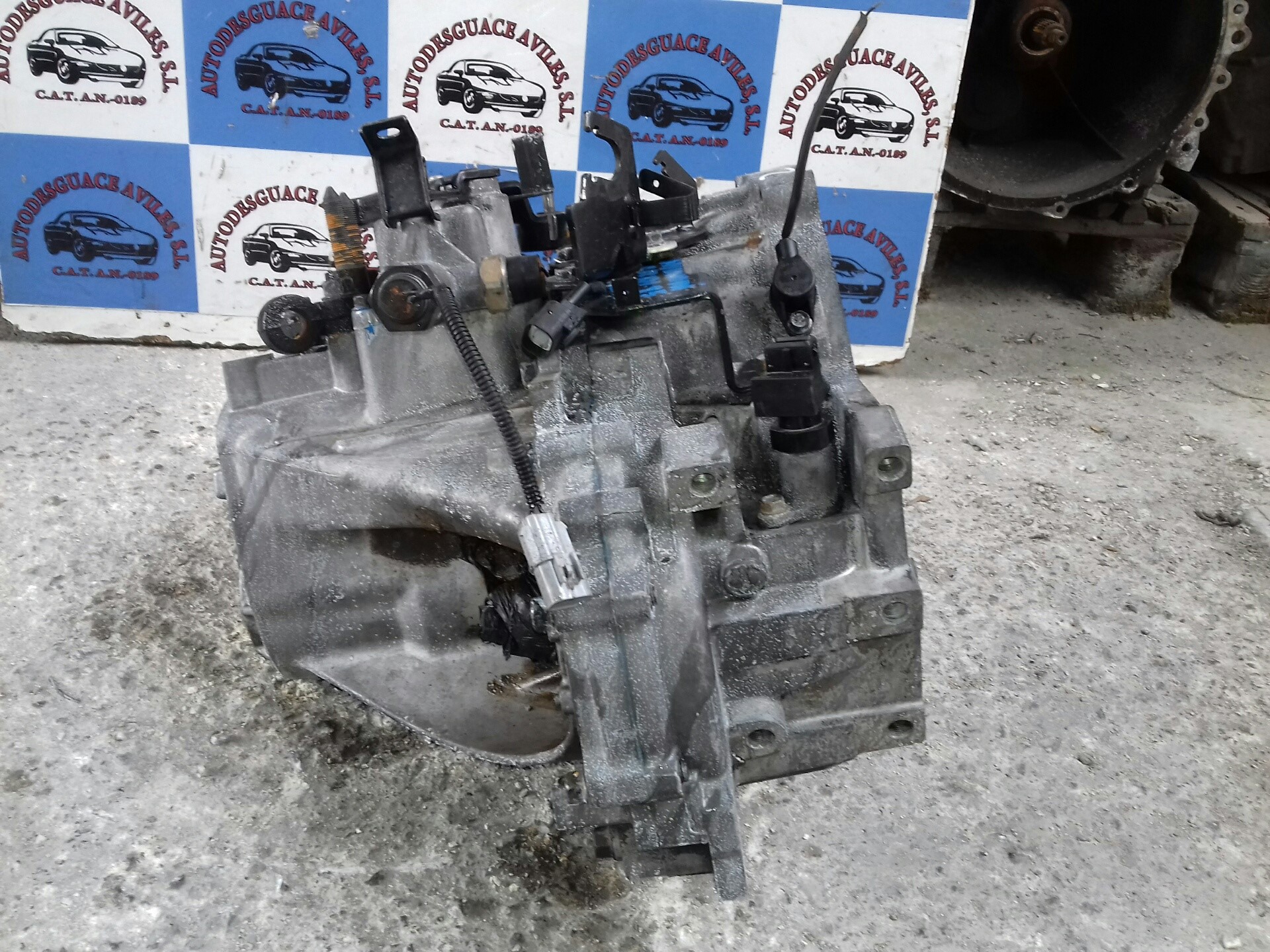 HYUNDAI Santa Fe SM (2000-2013) Gearbox P51767 22797721