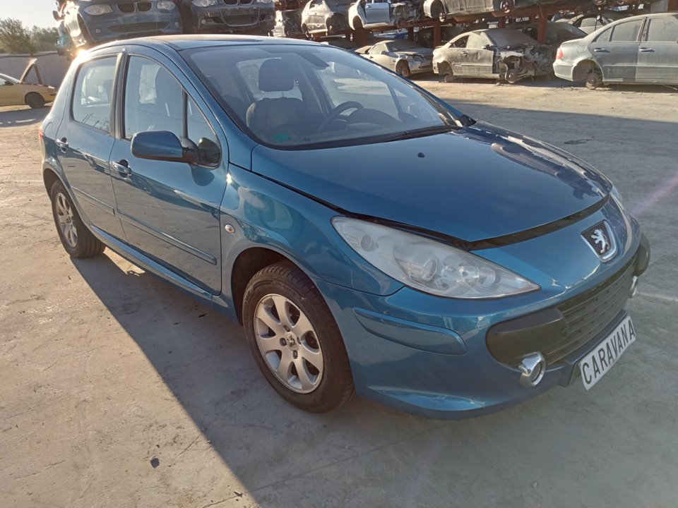 PEUGEOT 307 1 generation (2001-2008) Превключватели 96605592XT 25042675