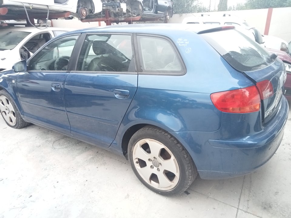 AUDI A3 8P (2003-2013) Variklio kompiuteris 0281011905 25018260