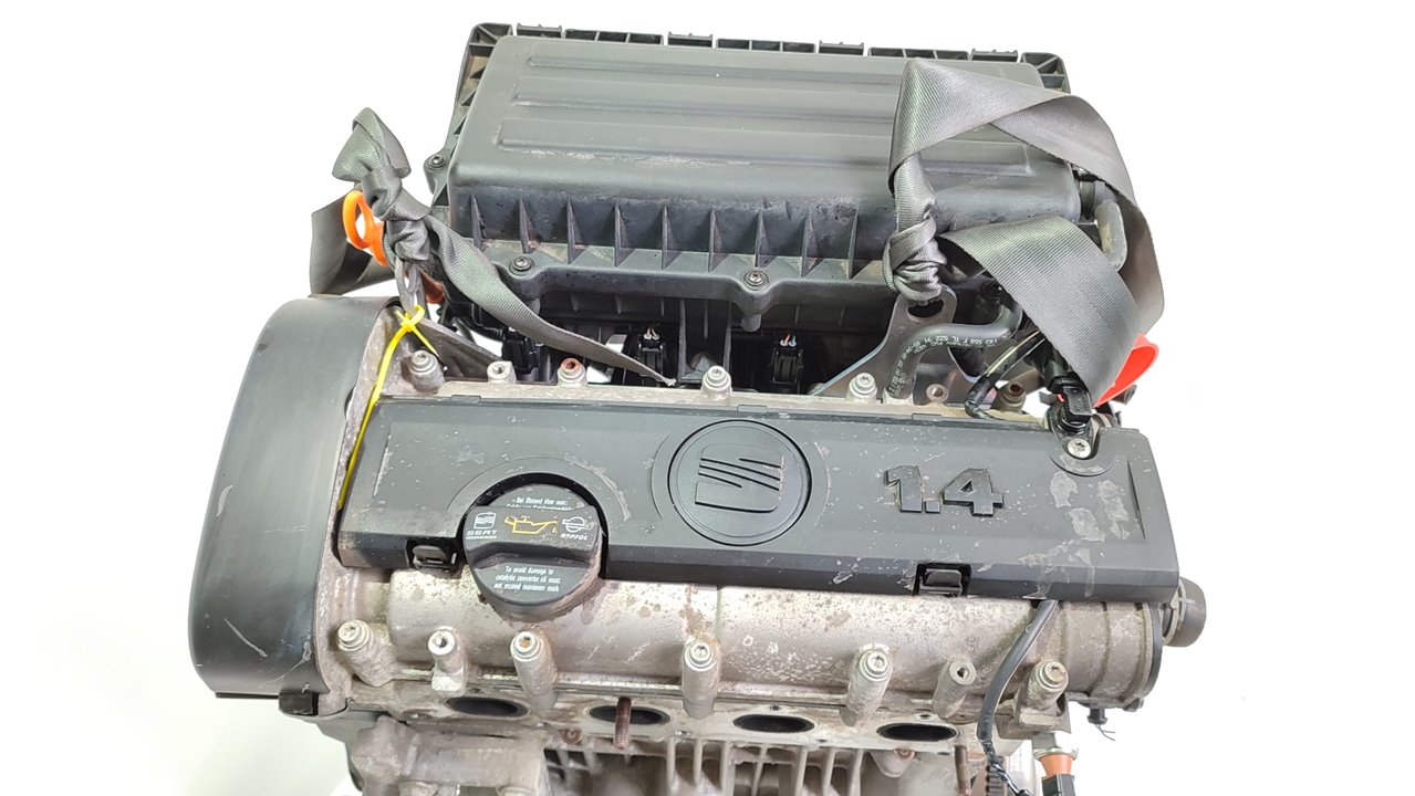 SEAT Ibiza 4 generation (2008-2017) Motor BXW 25020562