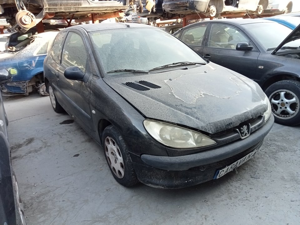 PEUGEOT 206 1 generation (1998-2009) Aripa dreapta față 7841L0 25036469