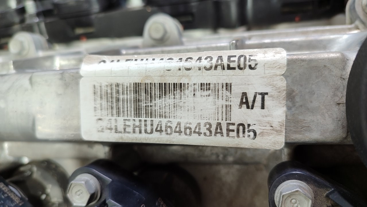 HYUNDAI Ioniq AE (2016-2023) Motor G4LE 25020318