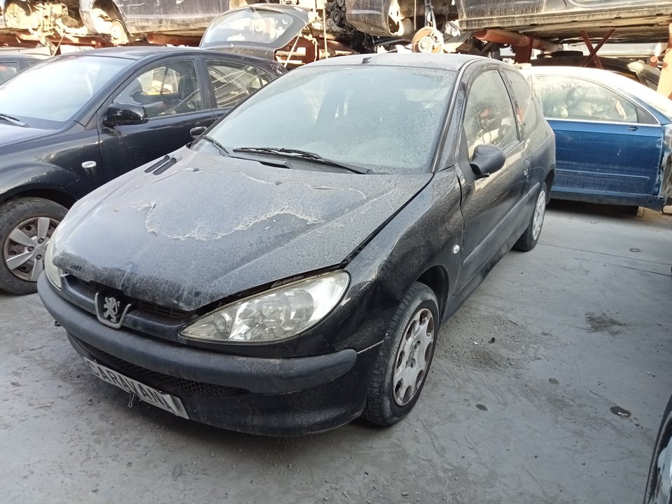 PEUGEOT 206 1 generation (1998-2009) Aripa dreapta față 7841L0 25036469