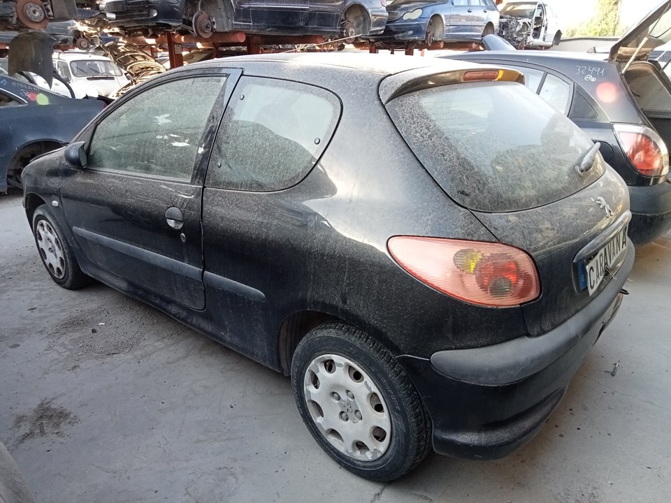 PEUGEOT 206 1 generation (1998-2009) Aripa dreapta față 7841L0 25036469