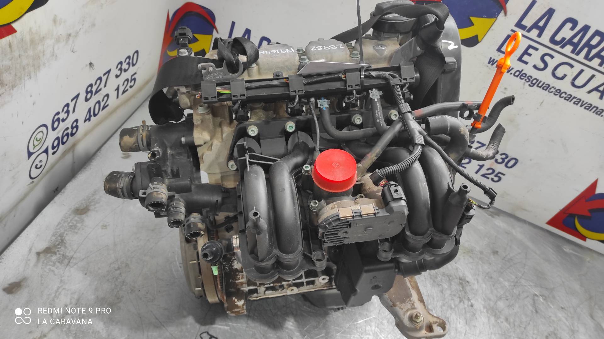 SEAT Cordoba 1 generation (1993-2003) Engine AKK 18890392