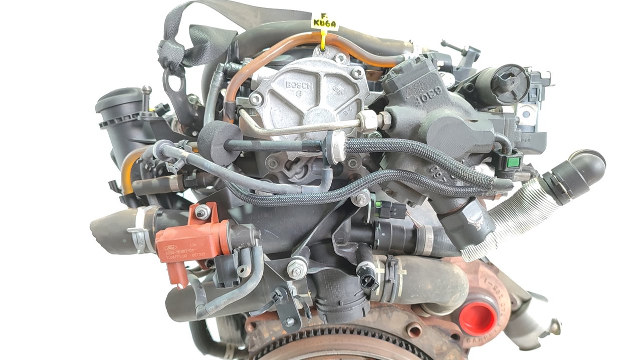 FORD Kuga 2 generation (2013-2020) Engine G6DG 25036561