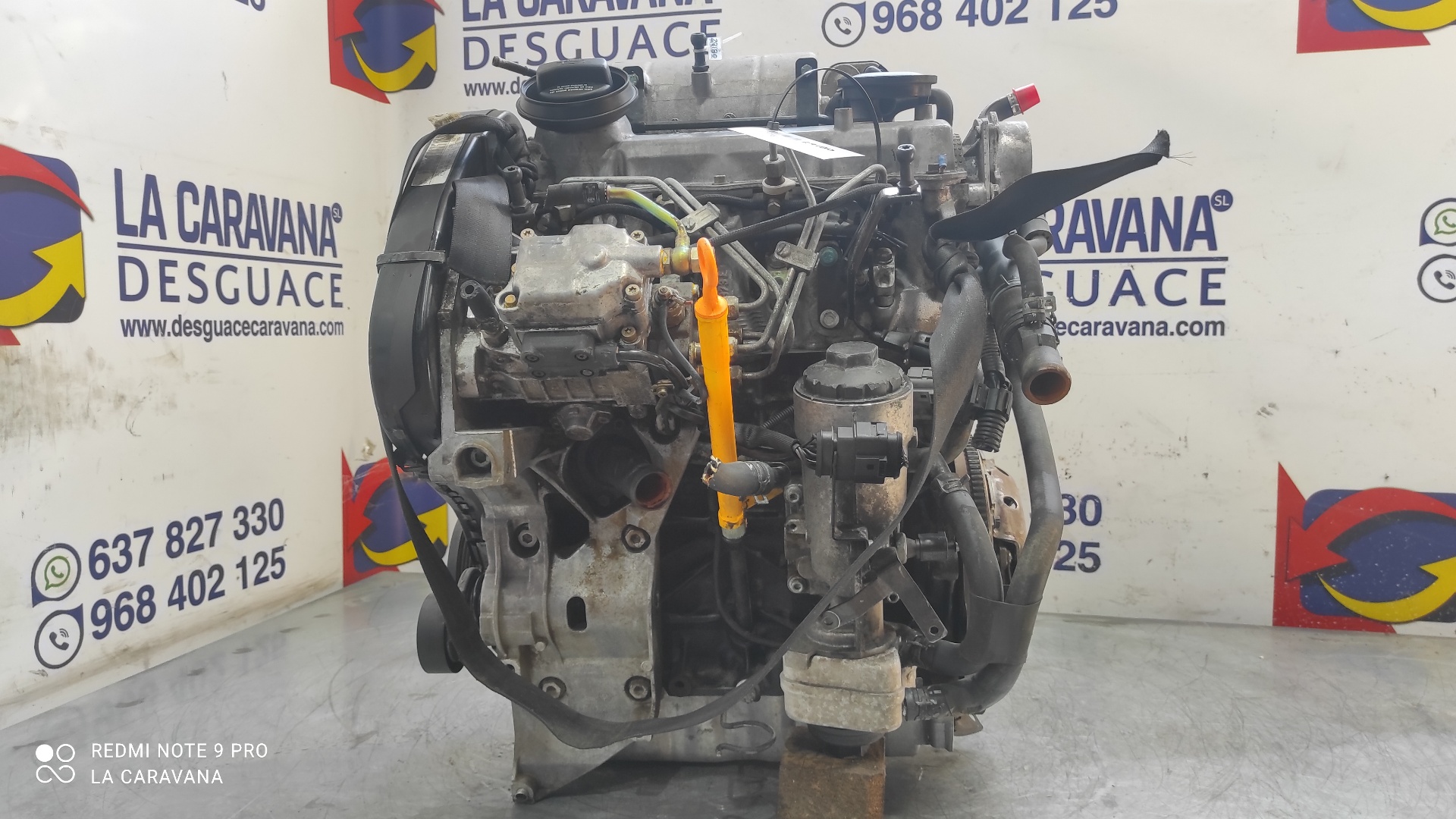 SEAT Cordoba 2 generation (1999-2009) Engine ASY 18892376