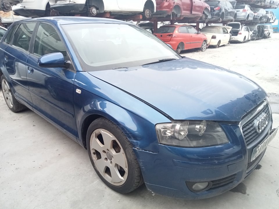 AUDI A3 8P (2003-2013) Variklio kompiuteris 0281011905 25018260