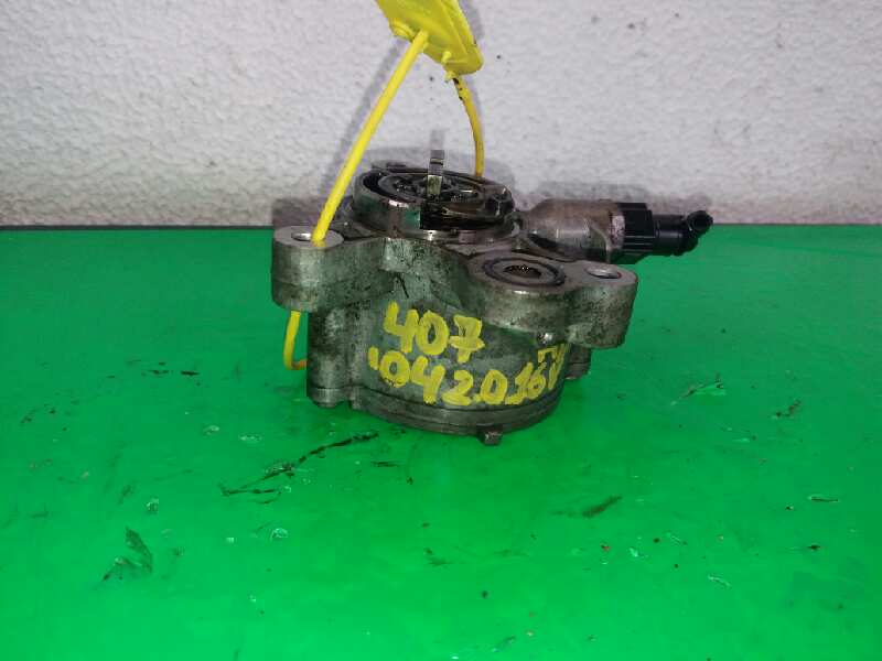 PEUGEOT 407 1 generation (2004-2010) Vacuum Pump D1651C1 25906891