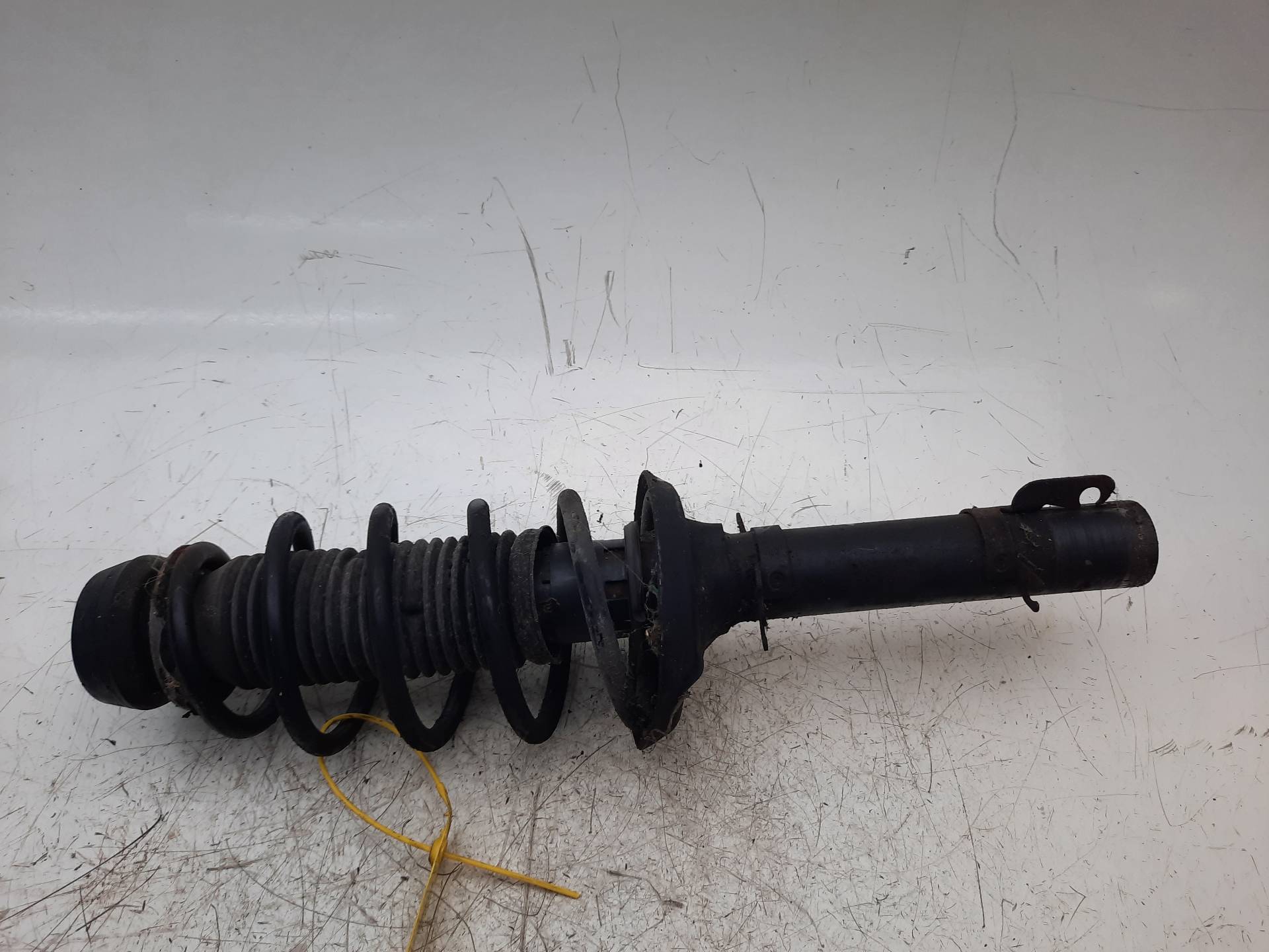 AUDI A3 8L (1996-2003) Front Right Shock Absorber 1J0413031P 18565060
