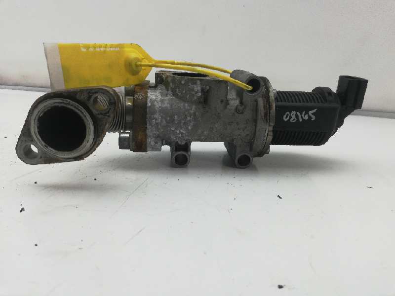 OPEL Zafira B (2005-2010) EGR Valve 50024005 18514716