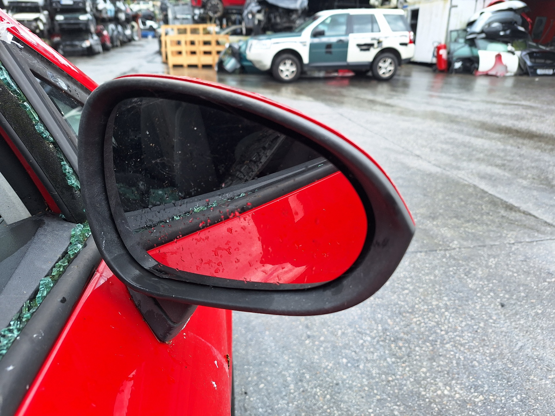 SEAT Leon 2 generation (2005-2012) Priekinių dešinių durų veidrodis 1P0857538 24956573