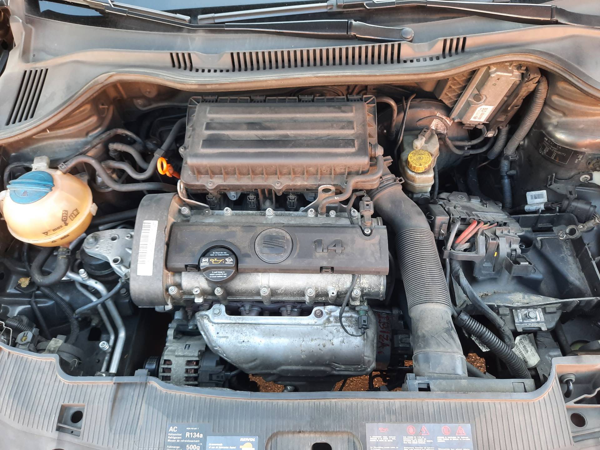 SEAT Ibiza 4 generation (2008-2017) Engine BXW 18594113