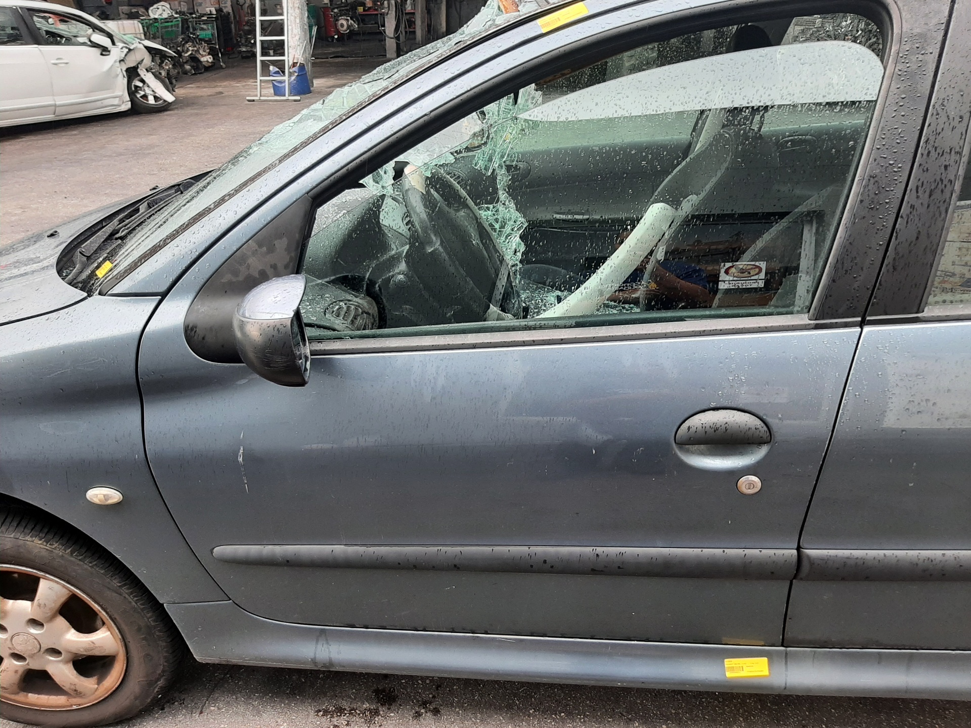 PEUGEOT 206 1 generation (1998-2009) Front Left Door 9002K5 20472770