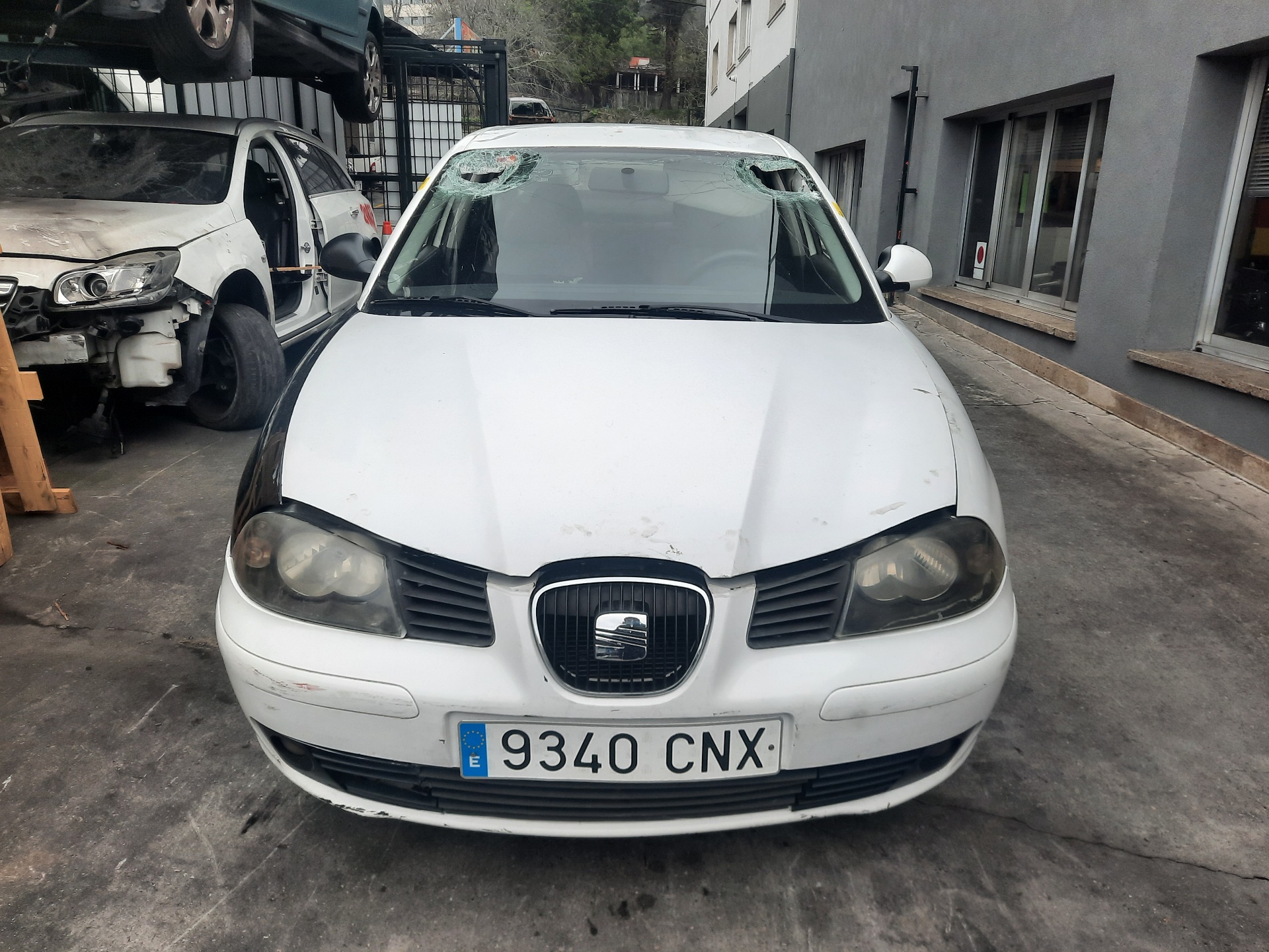 SEAT Cordoba 2 generation (1999-2009) Stūres pastiprinātāja sūknis 6Q0423156S 21285954