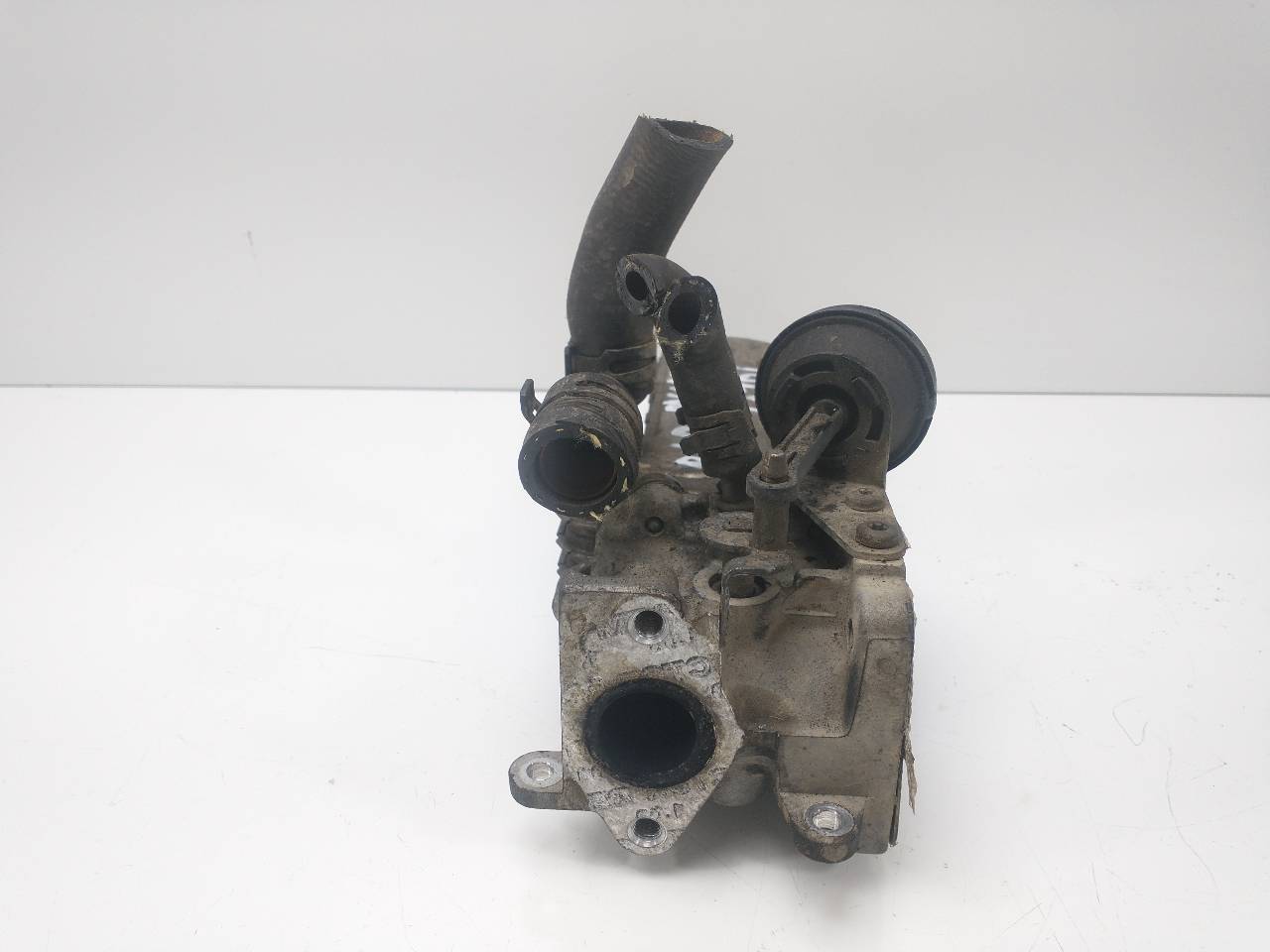 VOLKSWAGEN Passat B6 (2005-2010) EGR Cooler 03G131513J 25950190