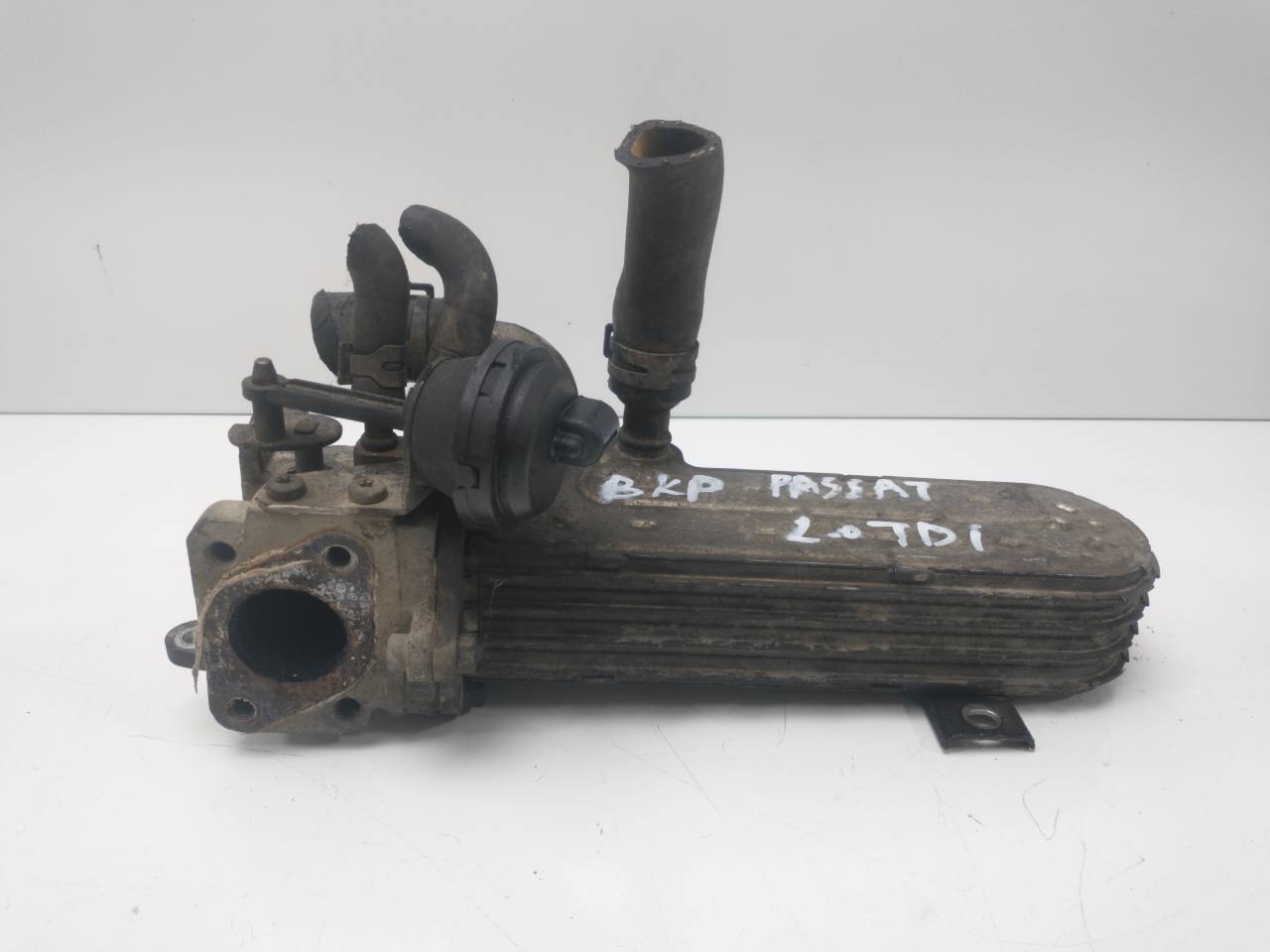 VOLKSWAGEN Passat B6 (2005-2010) EGR aušintuvas 03G131513J 25950190