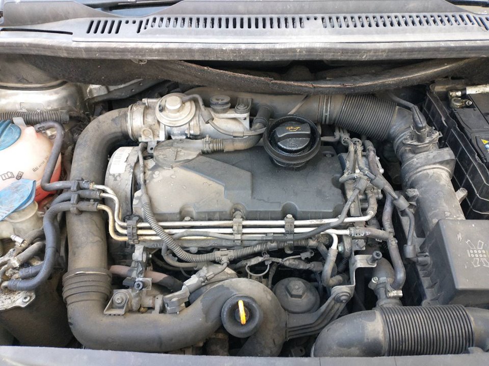 VOLKSWAGEN Motor BKC 25950963