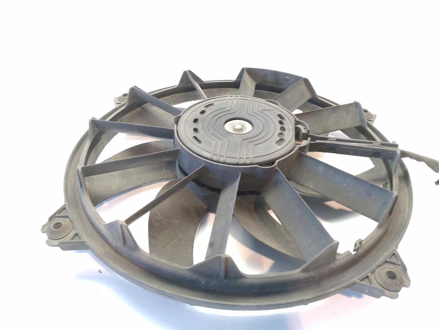 CITROËN C4 2 generation (2010-2024) Diffuser Fan 1253K4 18466103