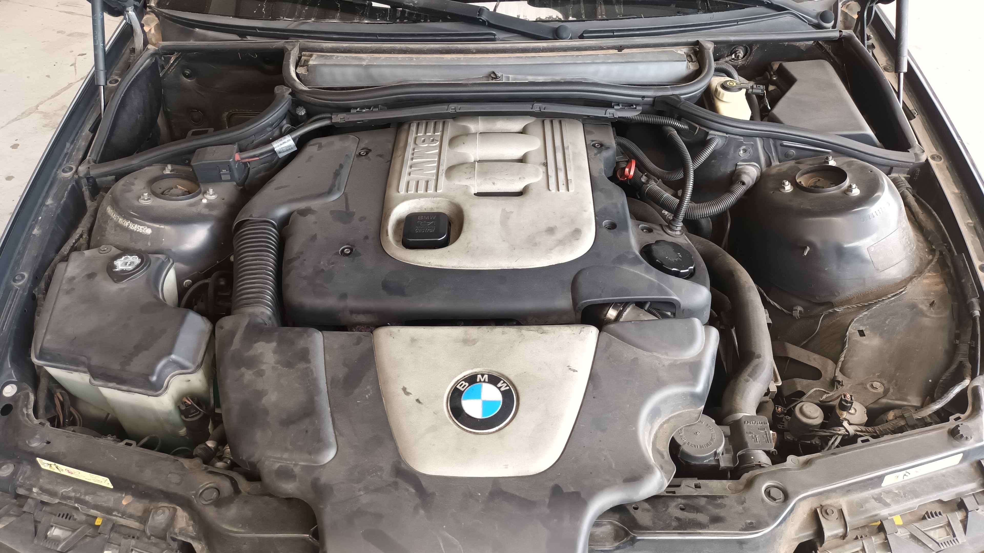 BMW 3 Series E46 (1997-2006) Purkštukas (forsunkė) 0445110216 22774765