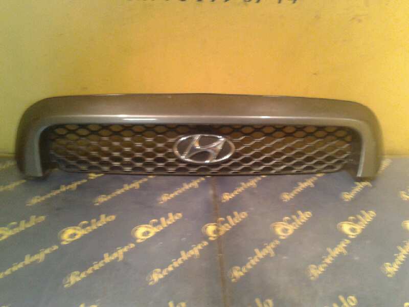 HYUNDAI Santa Fe SM (2000-2013) Kylargaller GRISPLATA 18899367