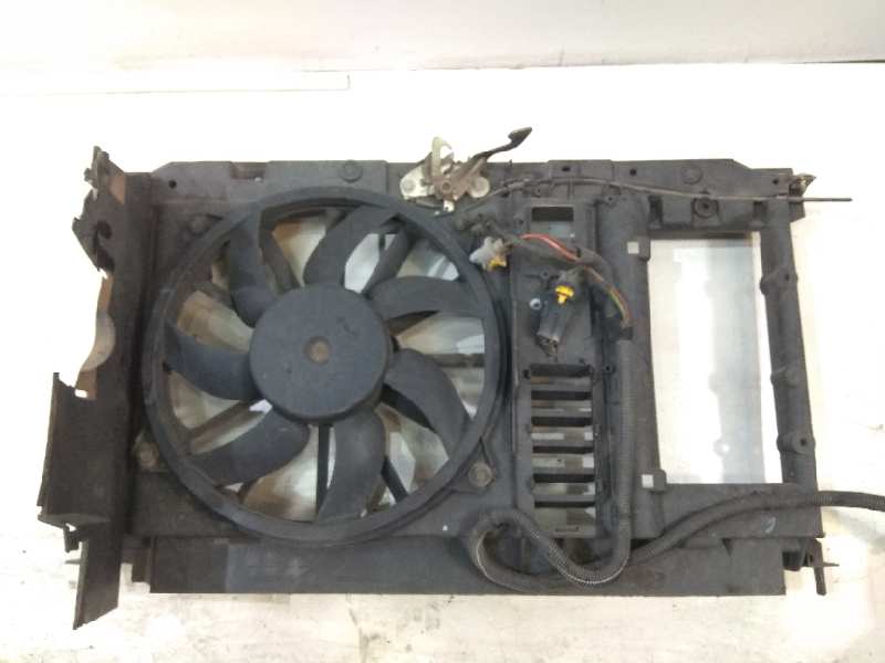 CITROËN C4 1 generation (2004-2011) Diffuser Fan RHR 19045978