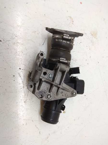 PEUGEOT 307 1 generation (2001-2008) Clapeta de accelerație 9660030480 19055648