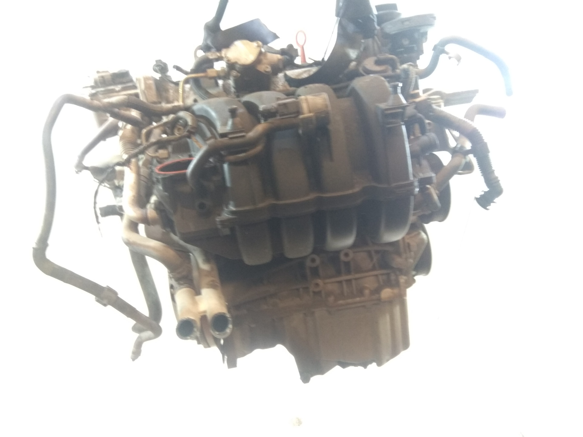 AUDI A2 8Z (1999-2005) Motor BLF 19096744