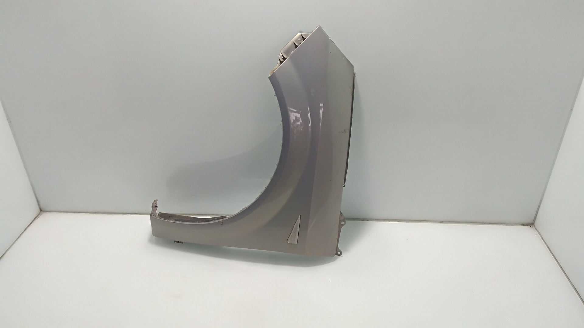 RENAULT Scenic 2 generation (2003-2010) Front Left Fender GRIS 25346435