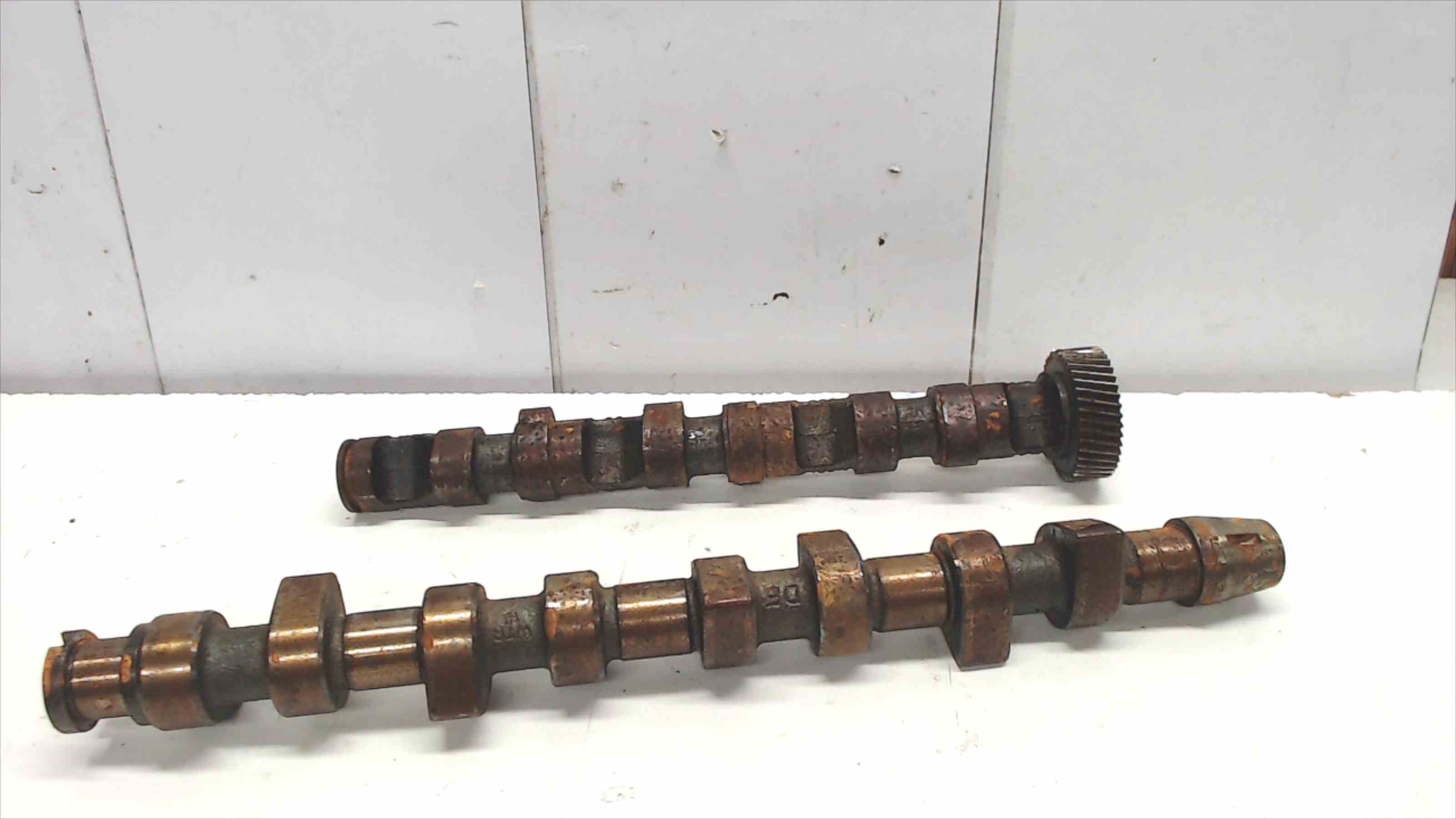 AUDI A3 8L (1996-2003) Exhaust Camshaft AFBAKN, AFB 22519885