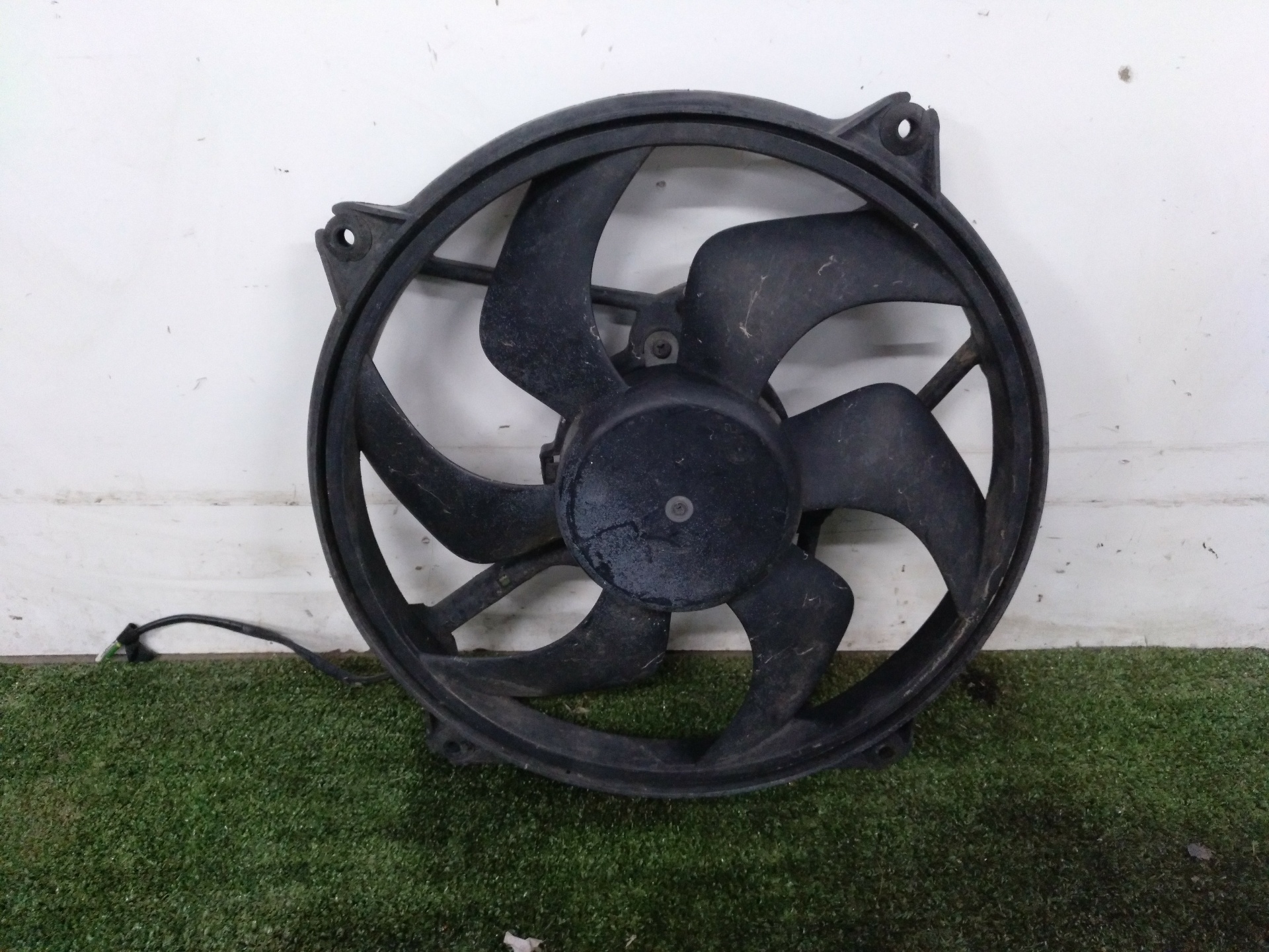 PEUGEOT 306 1 generation (1993-2002) Difūzoriaus ventiliatorius 1830884016 24689135