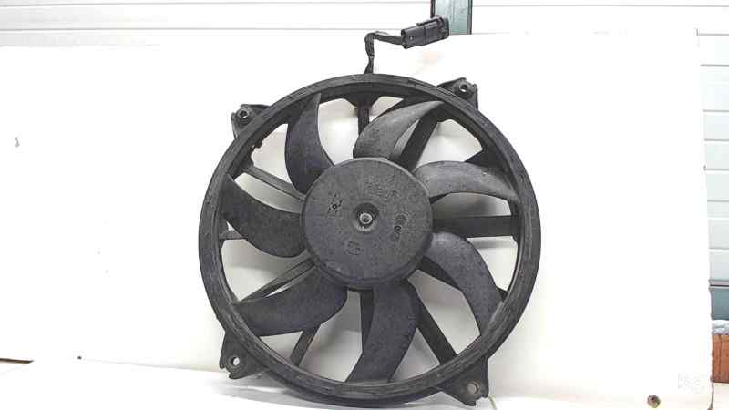 PEUGEOT 307 1 generation (2001-2008) Difūzoriaus ventiliatorius 9650116580, 9HYDV6TED4 22517675