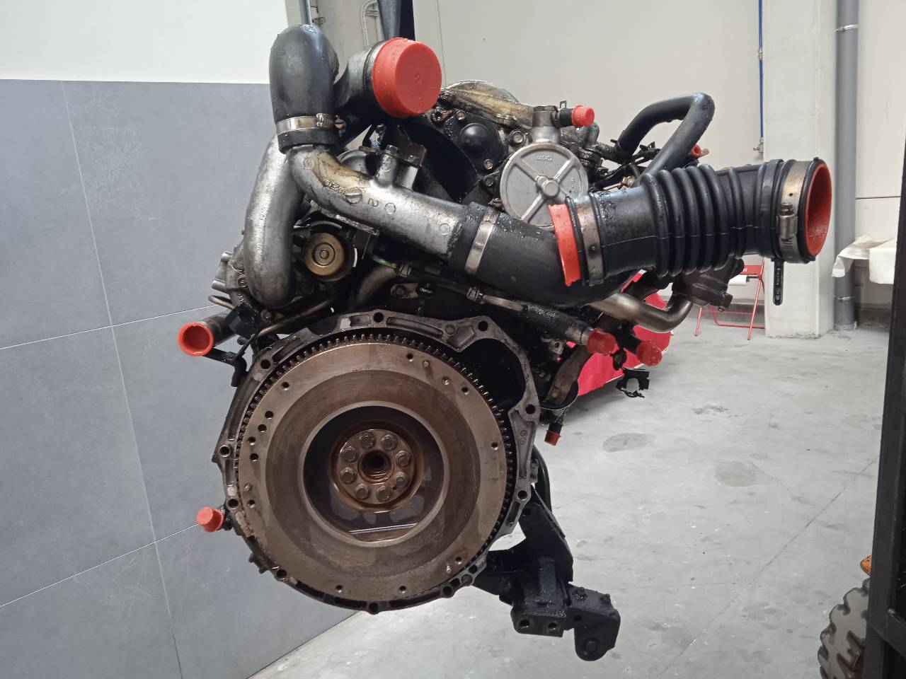 NISSAN Almera N16 (2000-2006) Motor YD22 25995564