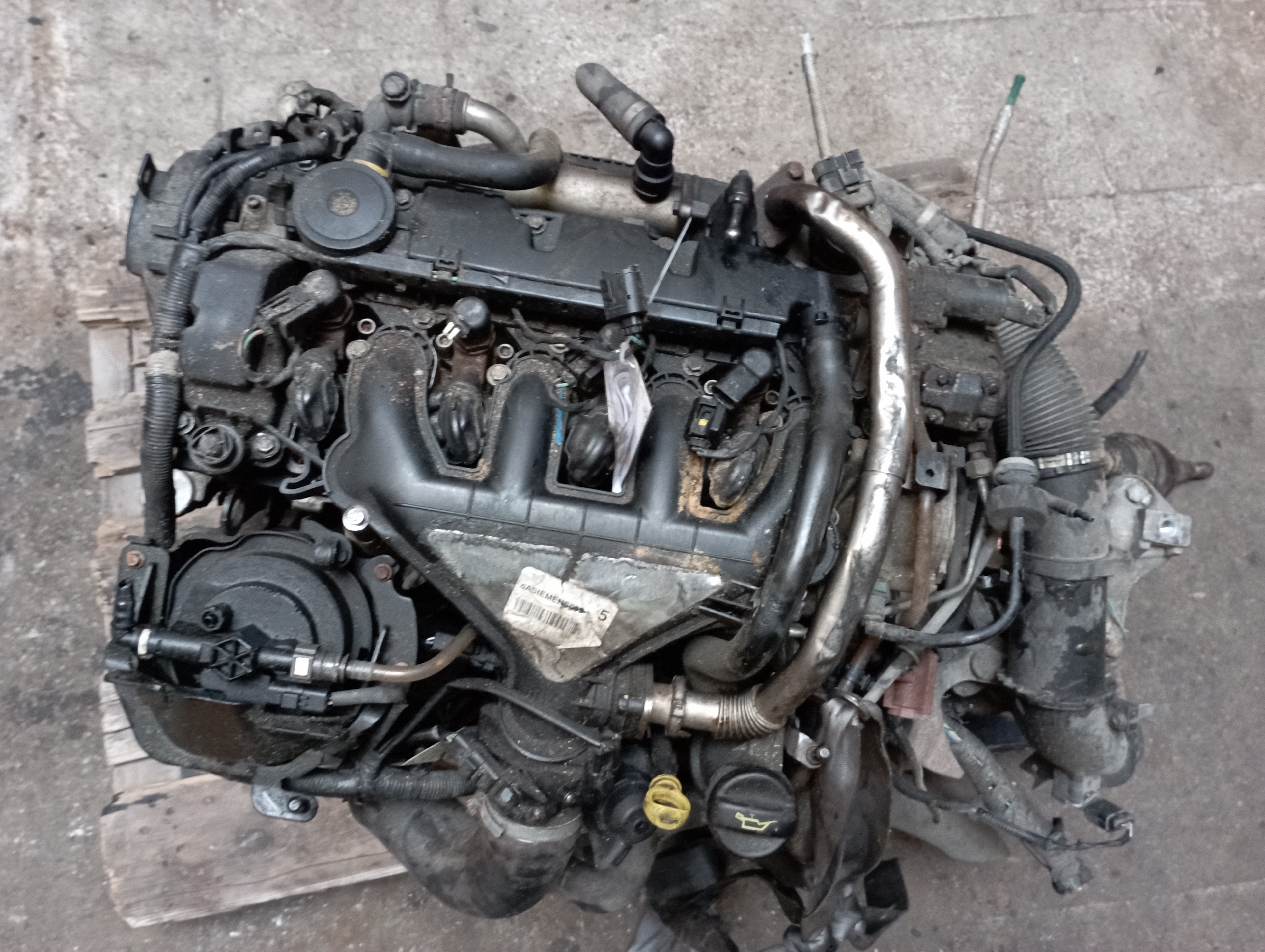 FORD Kuga 2 generation (2013-2020) Motor G6DG 18534203