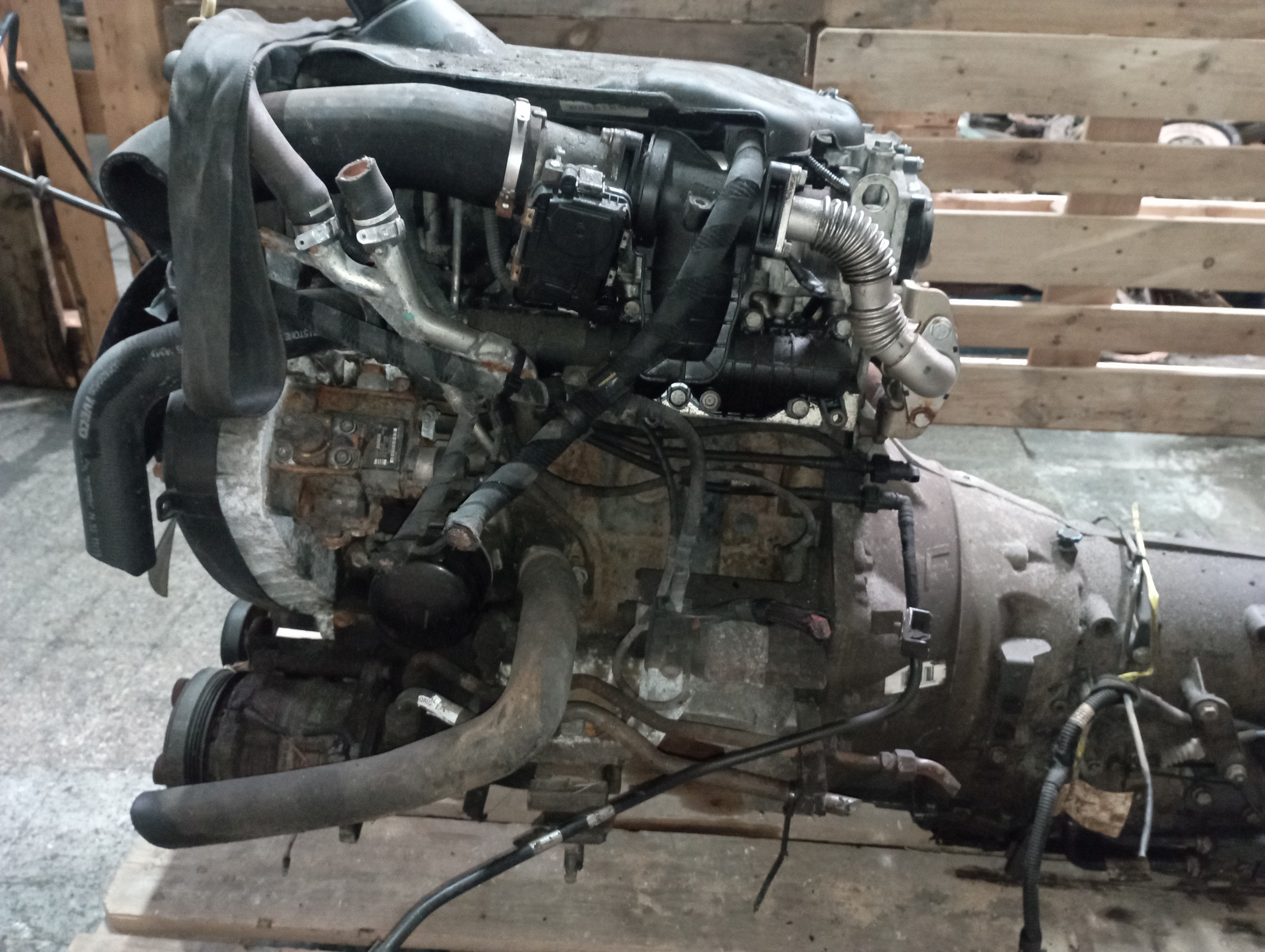 IVECO Daily 6 generation (2014-2019) Motor F1AFL411C 25245305